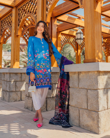 Silk Stitched – Faiza Saqlain